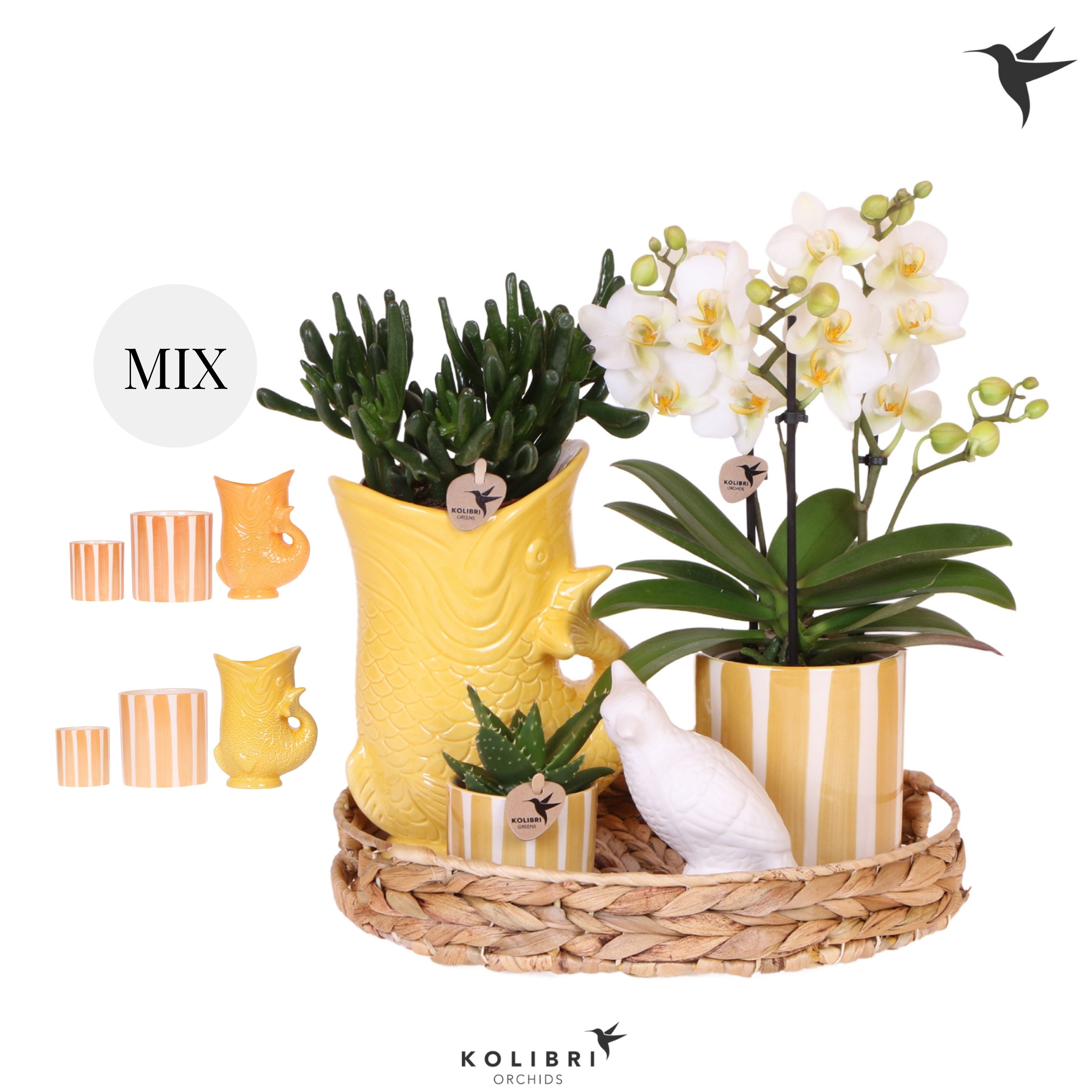 Kolibri Green up your home Gift Set Mediterranean Sunset Yellow