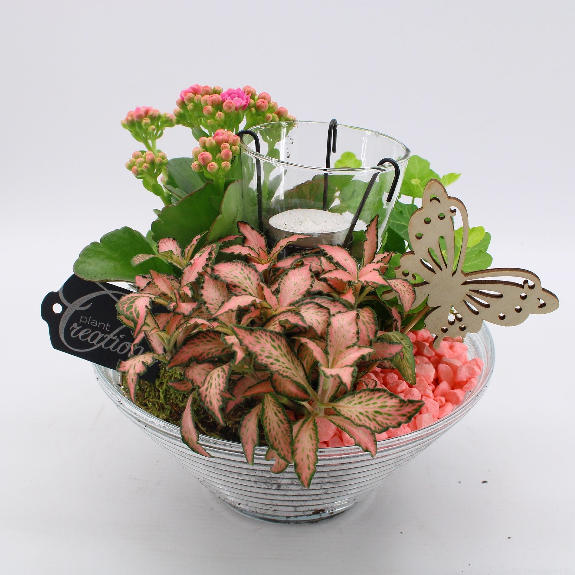 BACR-2503R Basic fundamentals