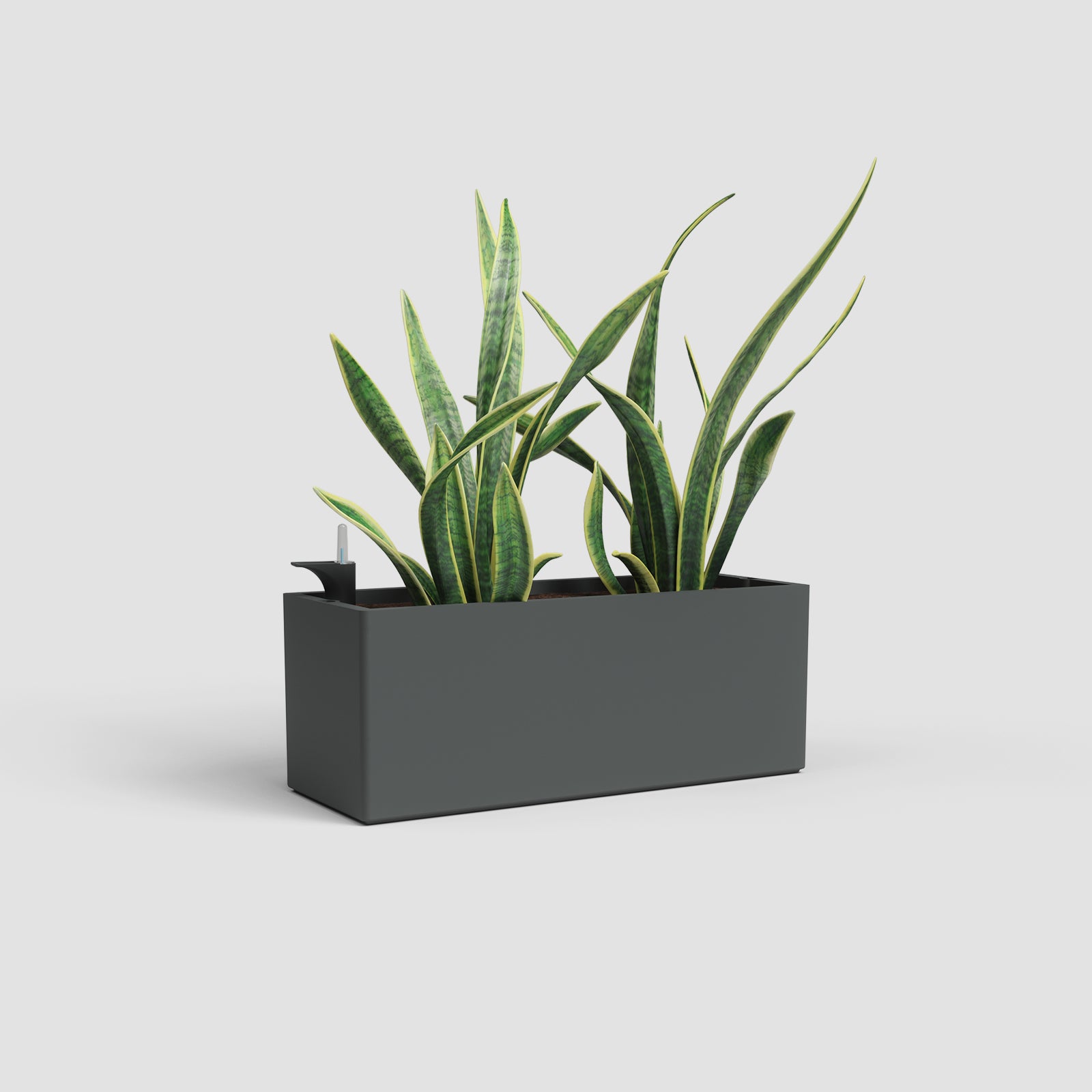 Rimini Plant Box Self Watering System