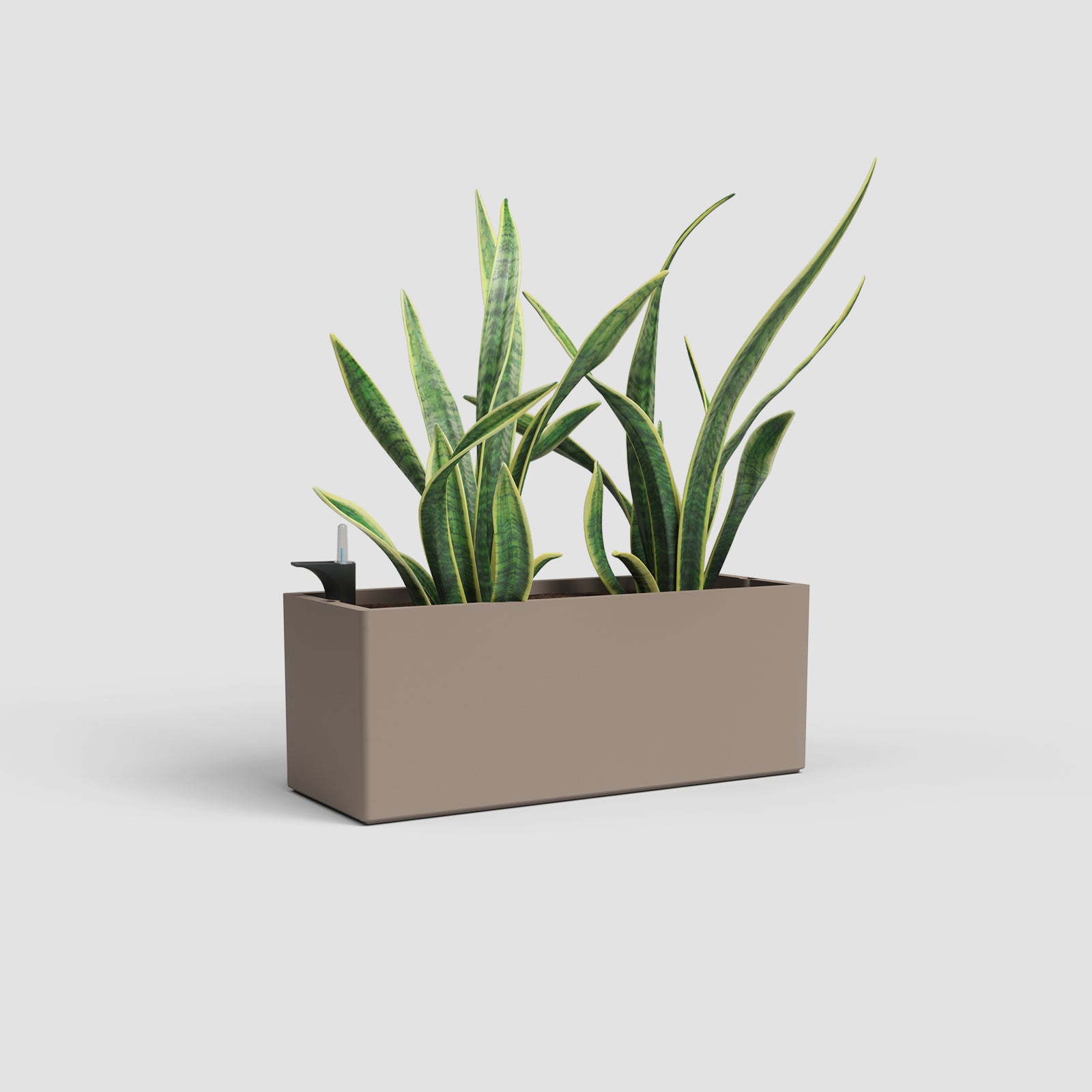 Rimini Plant Box Self Watering System