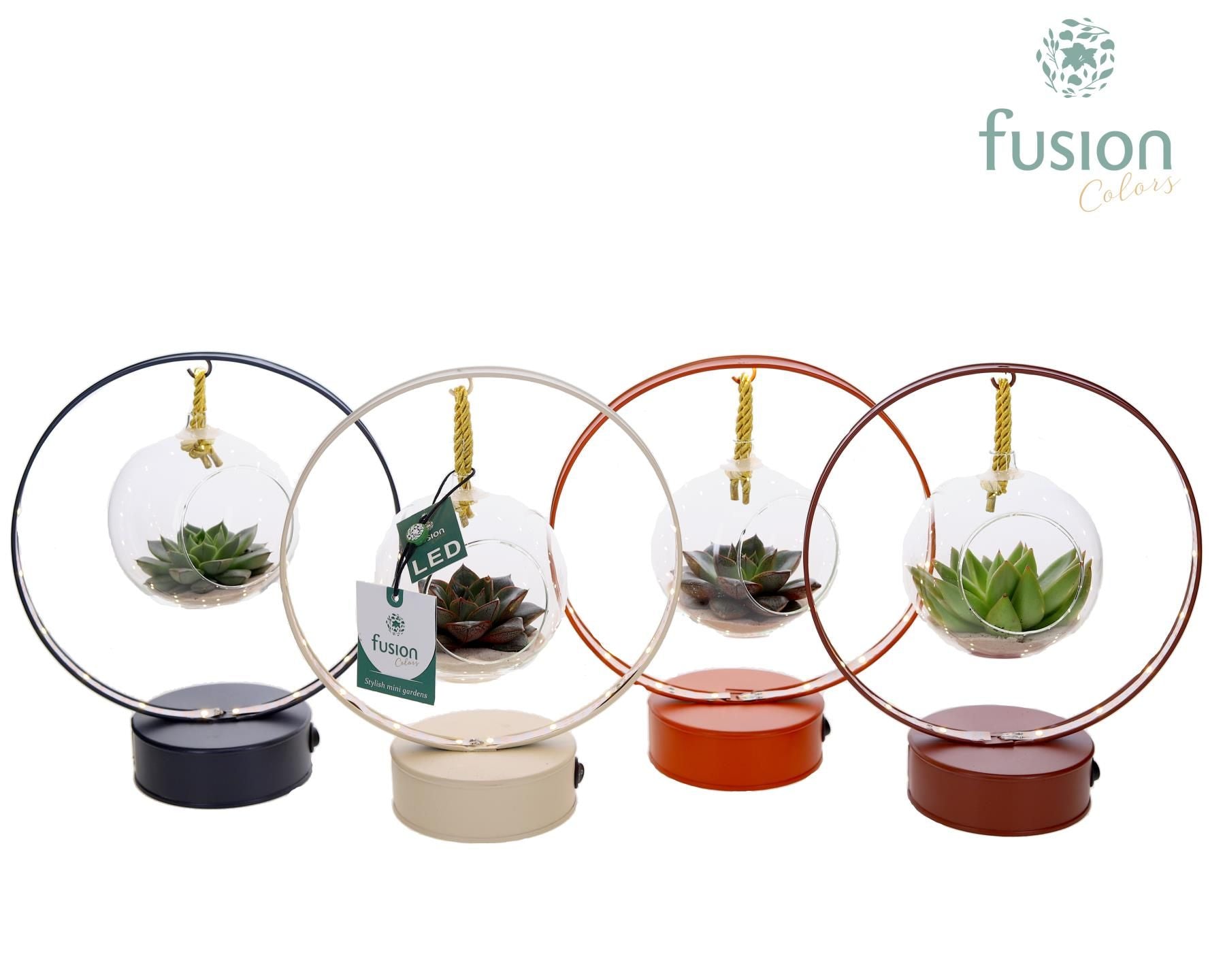 FC-24.1846FDH FC-24.1846FDH LED planter zink boog met Succulent