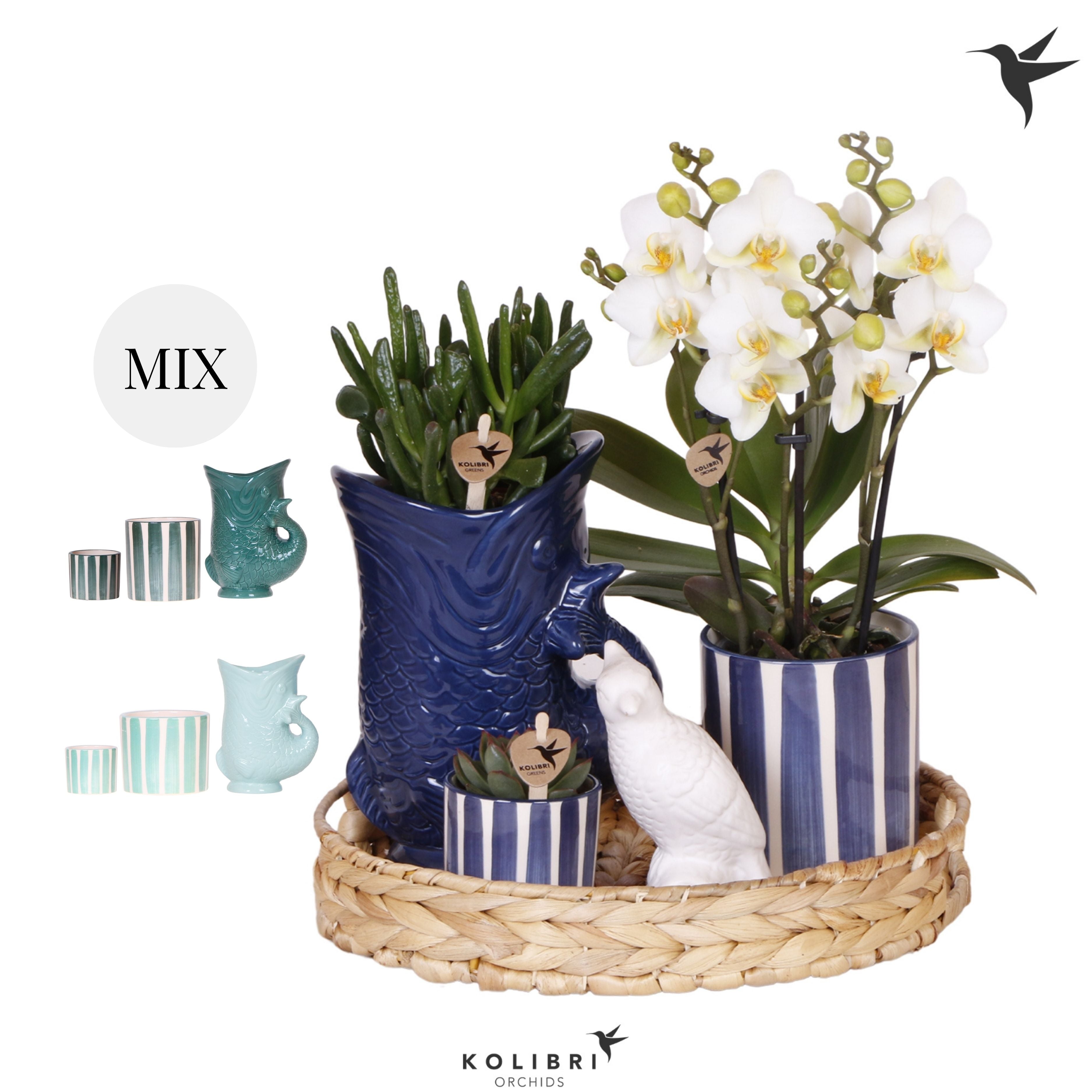 Kolibri Green up your home Gift Set Mediterranean Sunset blue