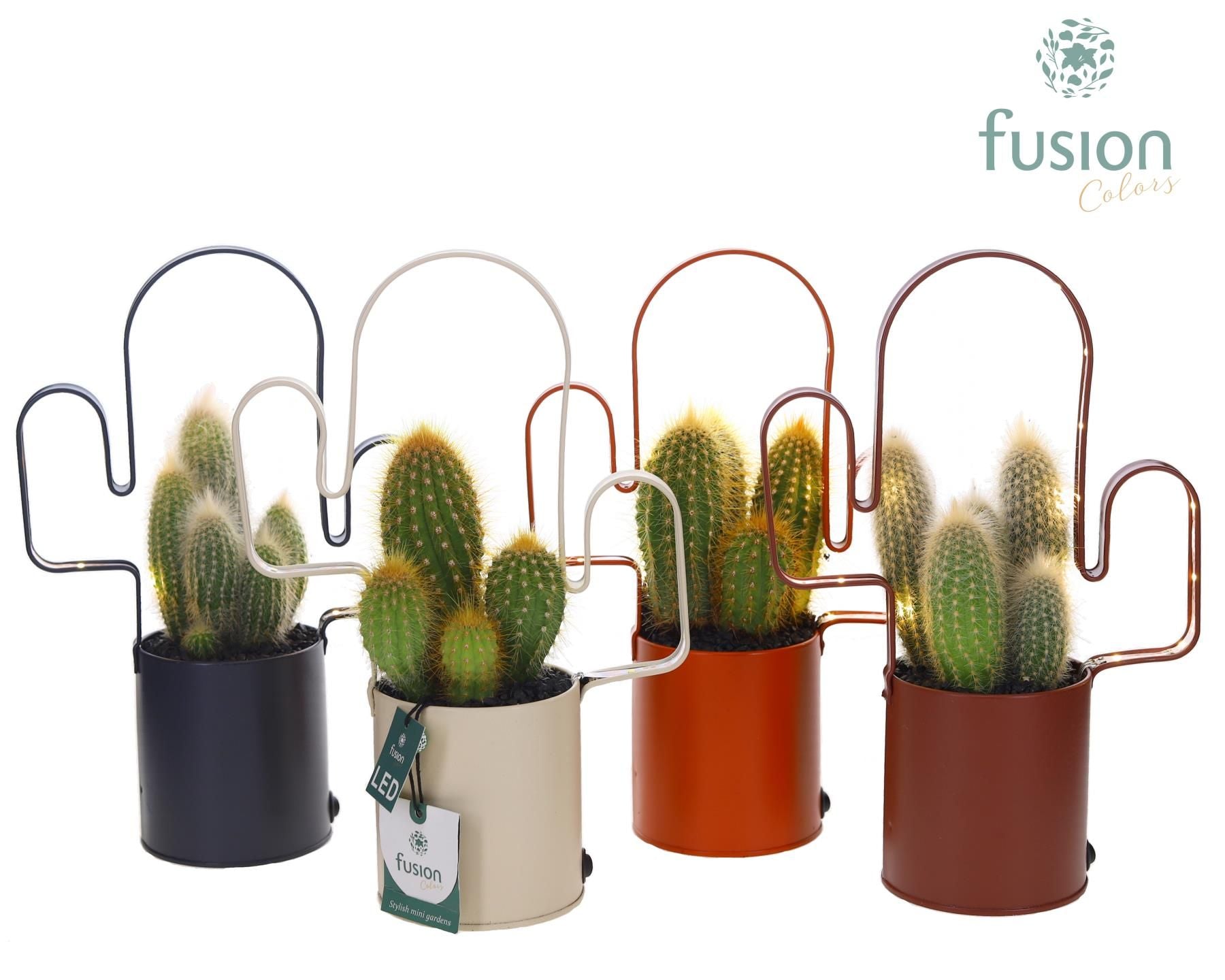 FC-24.1849FDH LED planter zink cactusvorm met Cactus
