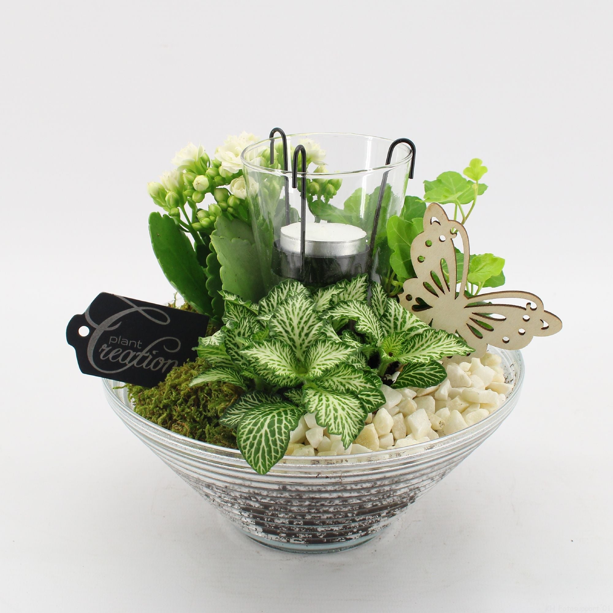 BACR-2503R Basic fundamentals