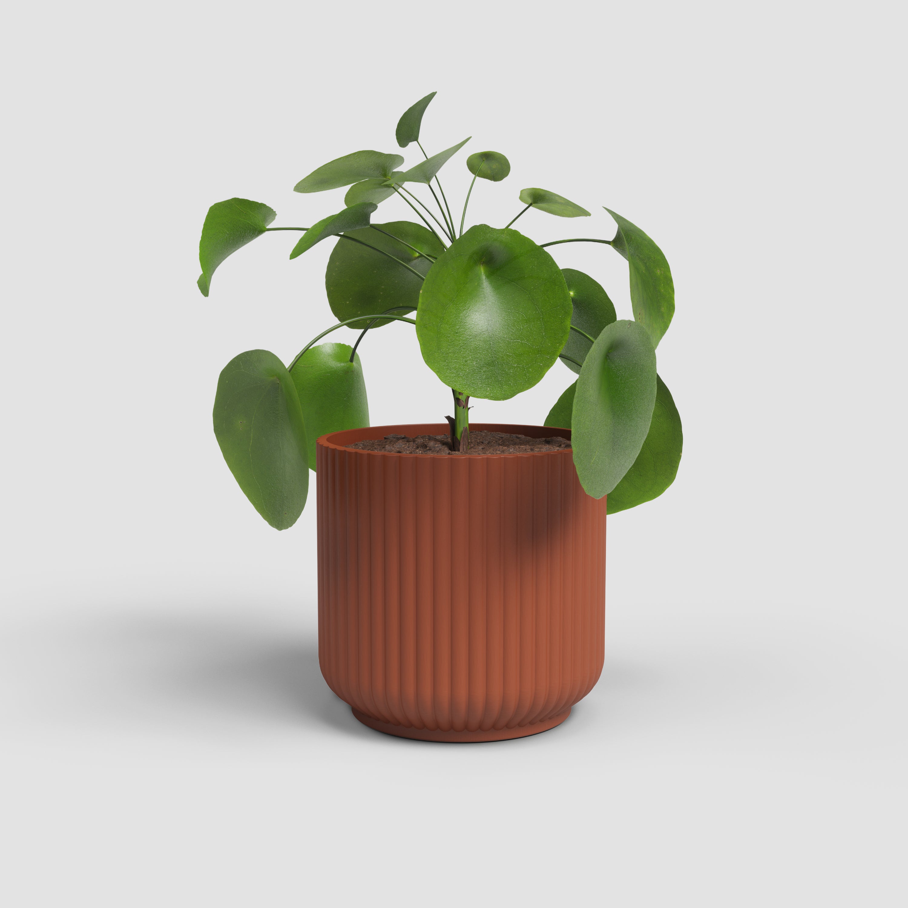 Luna Pot