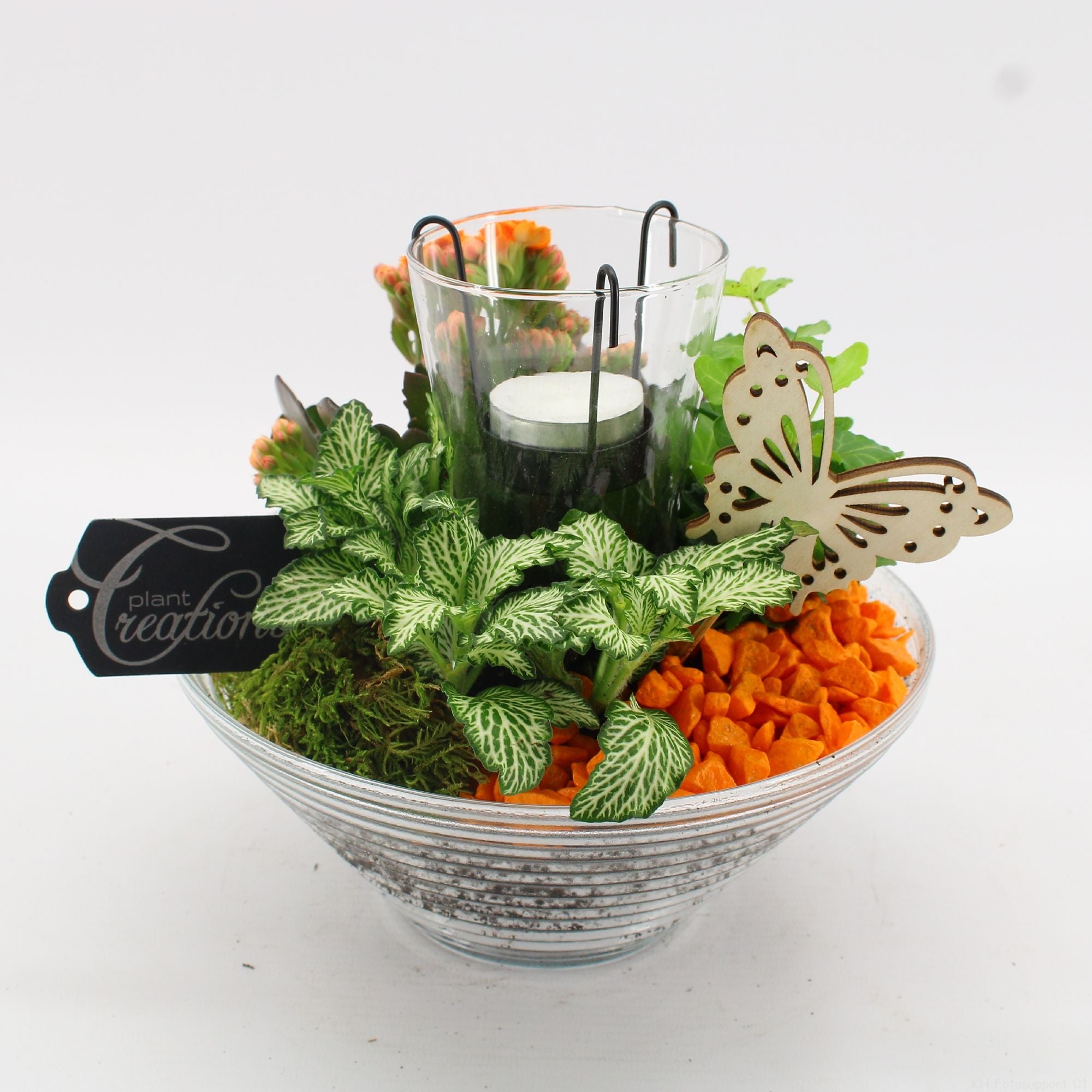 BACR-2503R Basic fundamentals