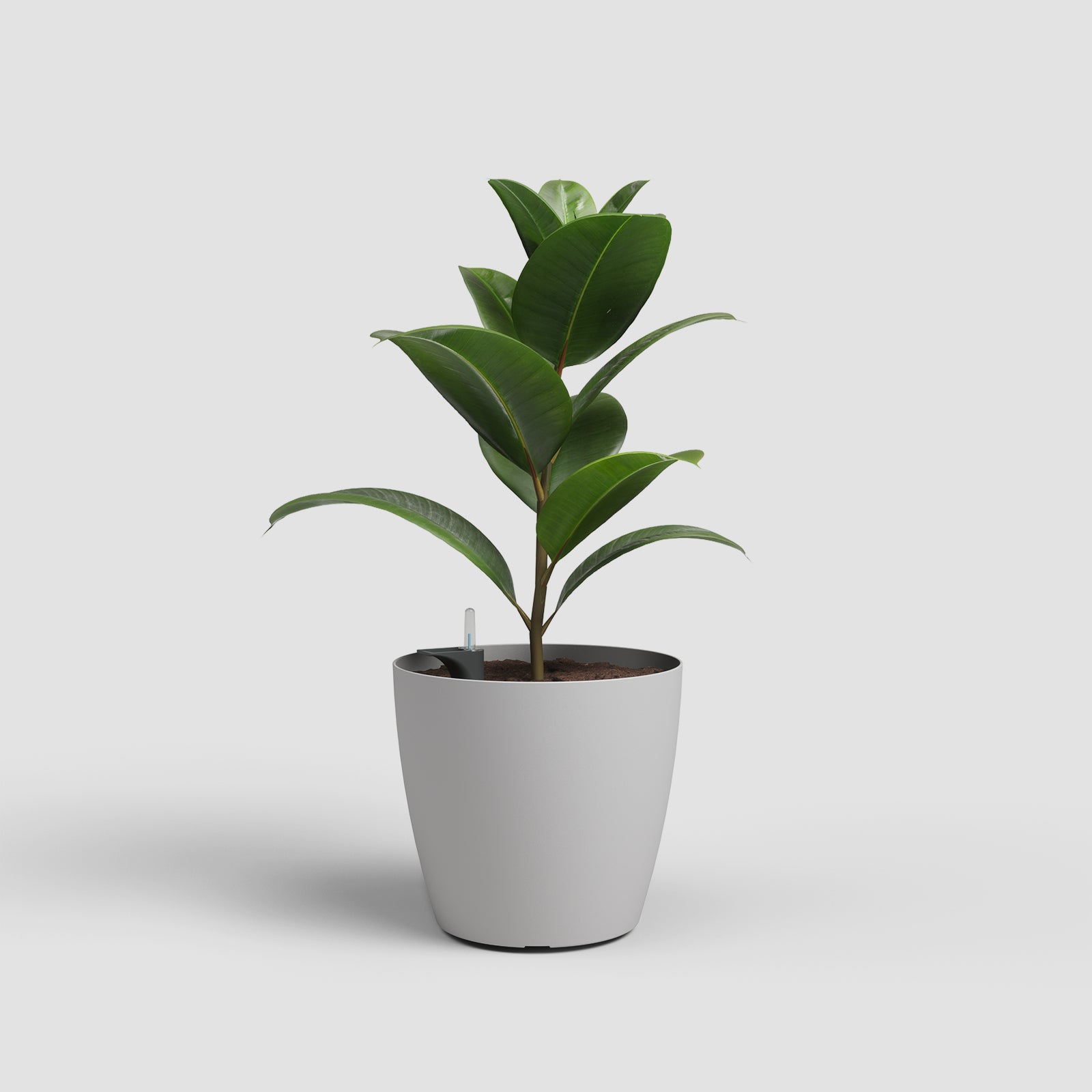 San Remo Pot Self Watering System Matte