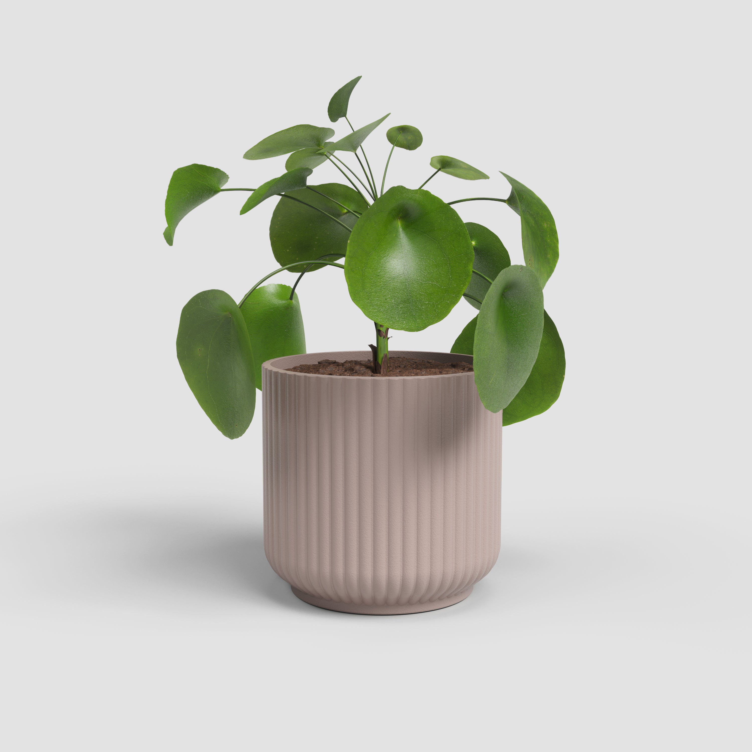 Luna Pot