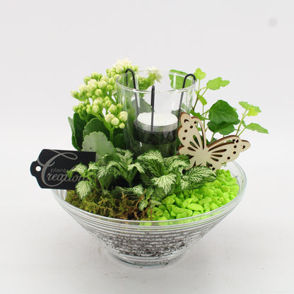 BACR-2503R Basic fundamentals