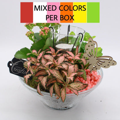 BACR-2503R Basic fundamentals