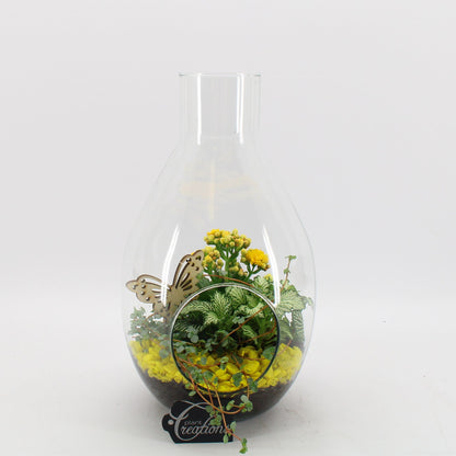 BACR-2505OR Basic fundamentals terrarium