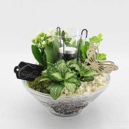 BACR-2503R Basic fundamentals